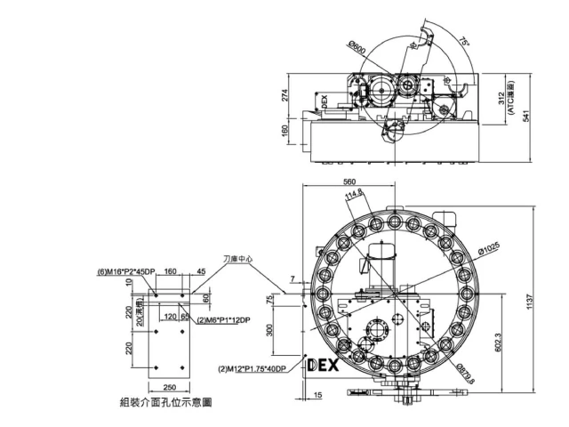 Outline Drawing - 24T (#50) 